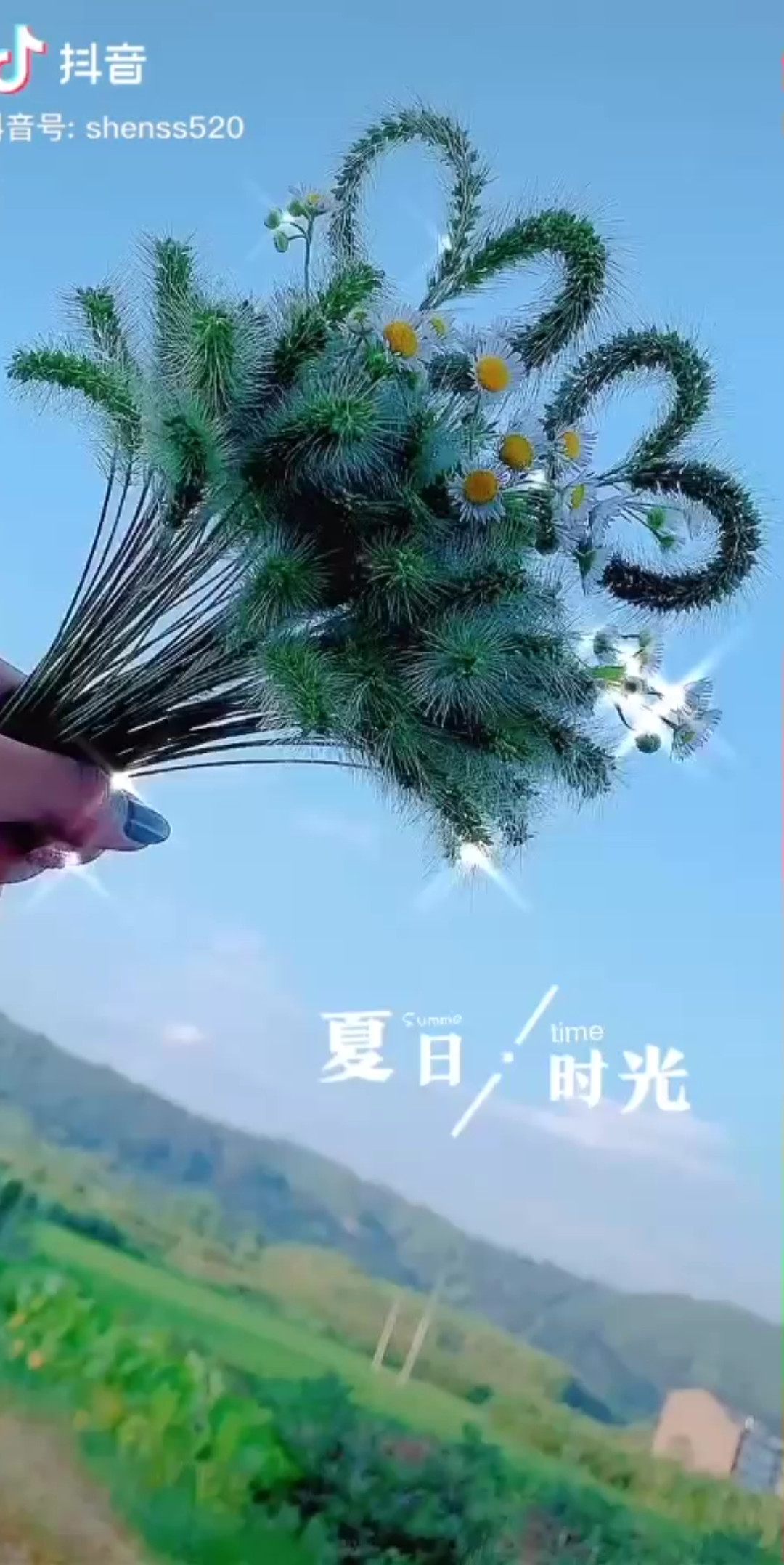 七月的风八月雨卑微我喜欢遥远你