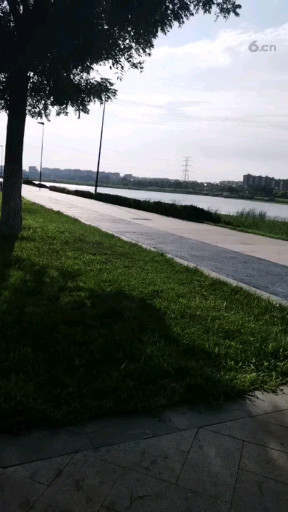 白沙河