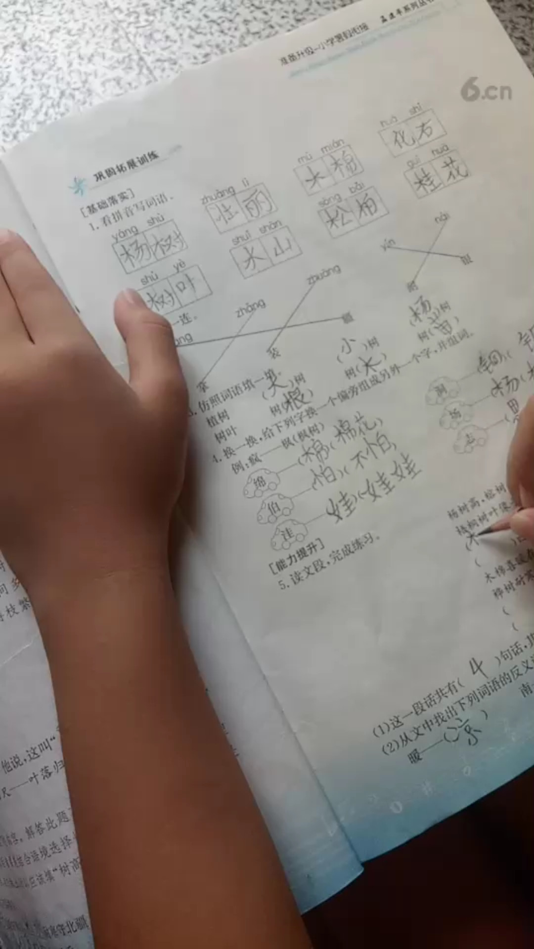 辅导作业鸡飞狗跳，哪有母慈子孝