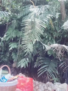 瀑布来了，小姐姐来咯来咯来咯