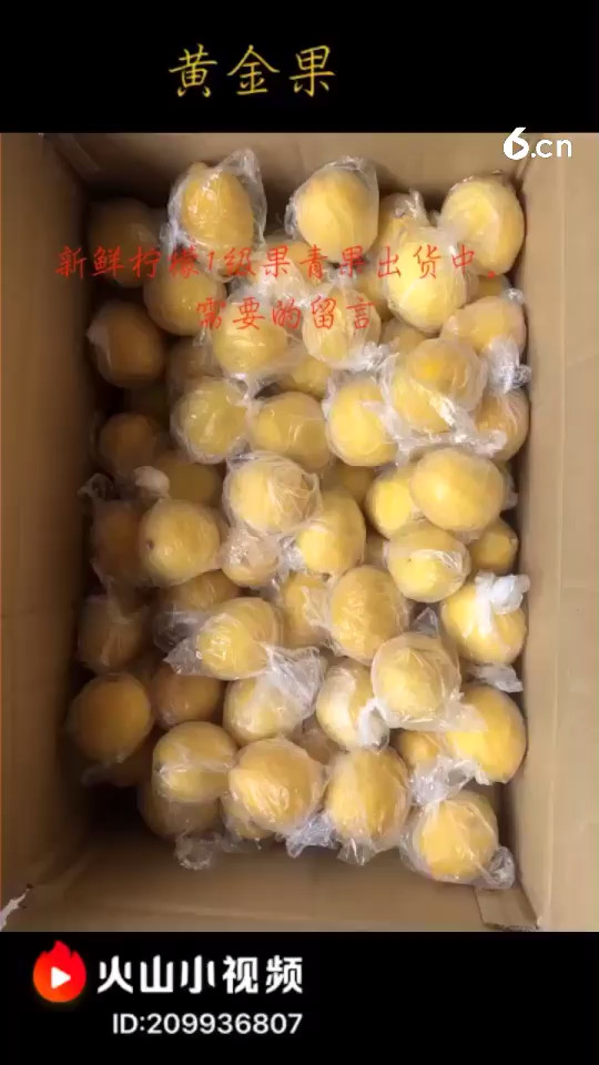 鲜果出货中