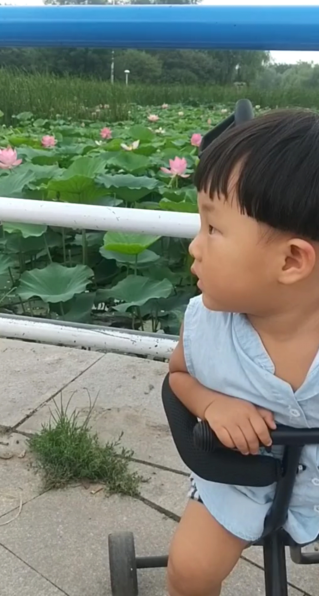孓、