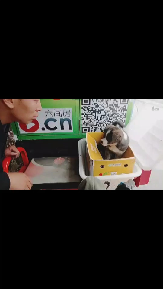 小江逗小沙漠……