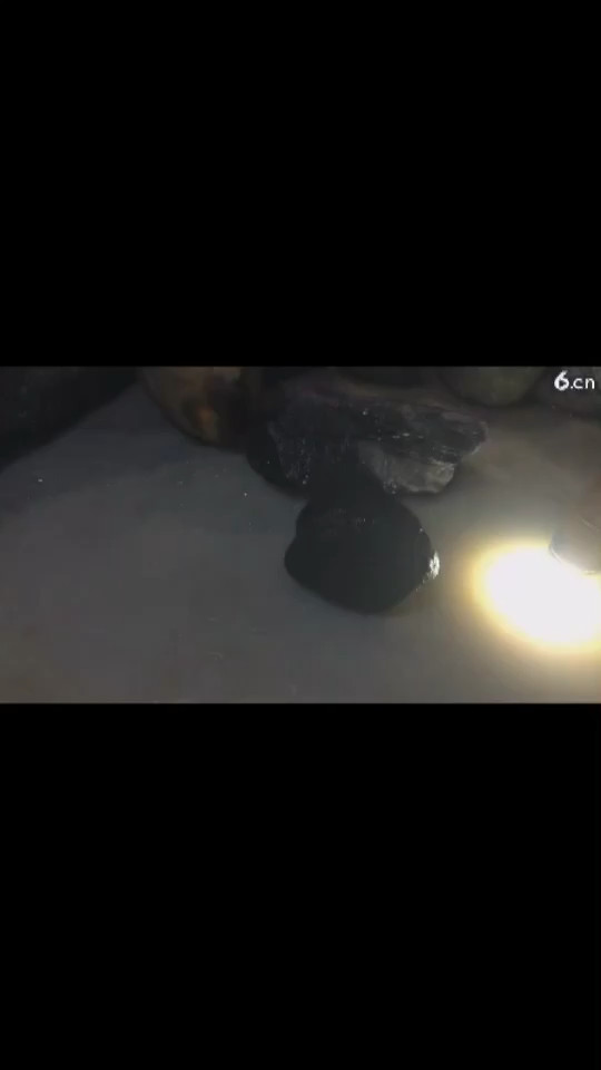 这个不错3000能拿下