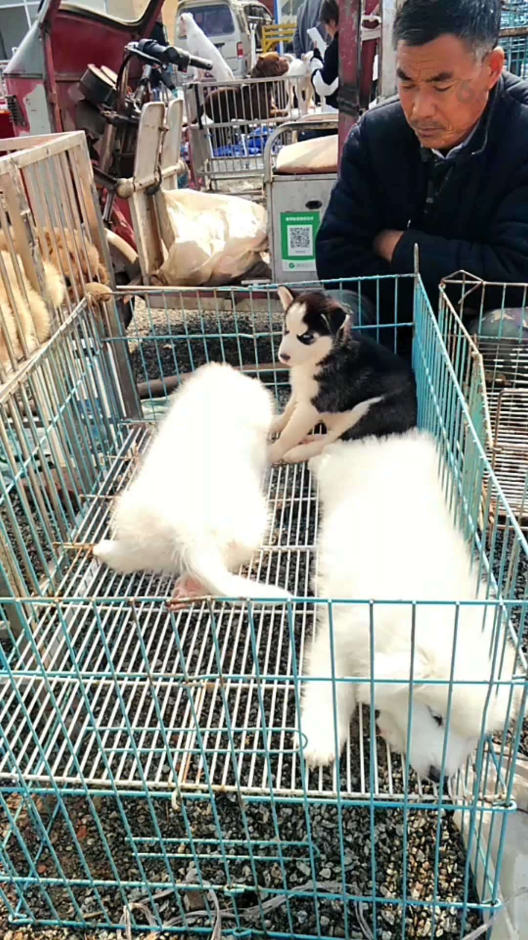 沙牧野