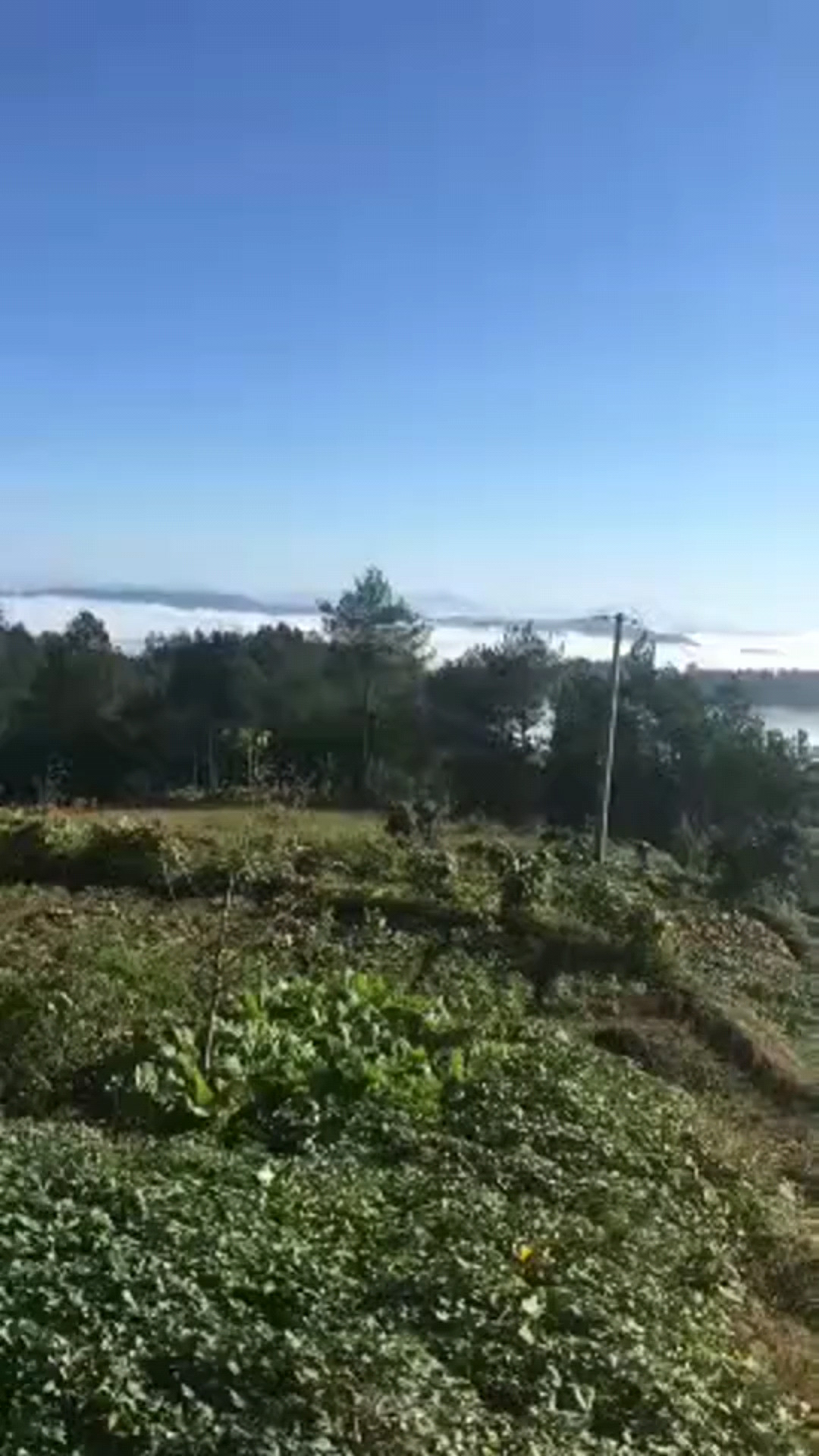 我的家山美景美人不美😂️😂