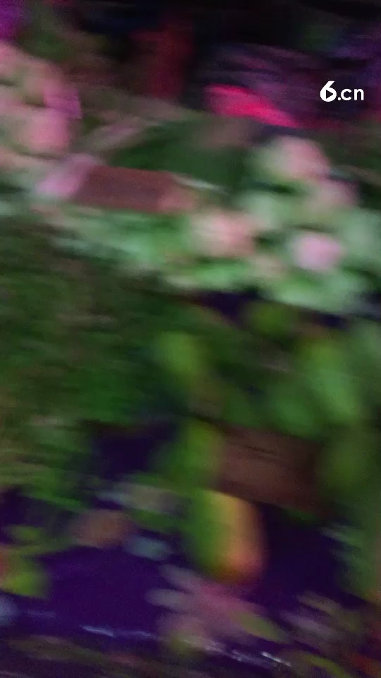 24小時菜場