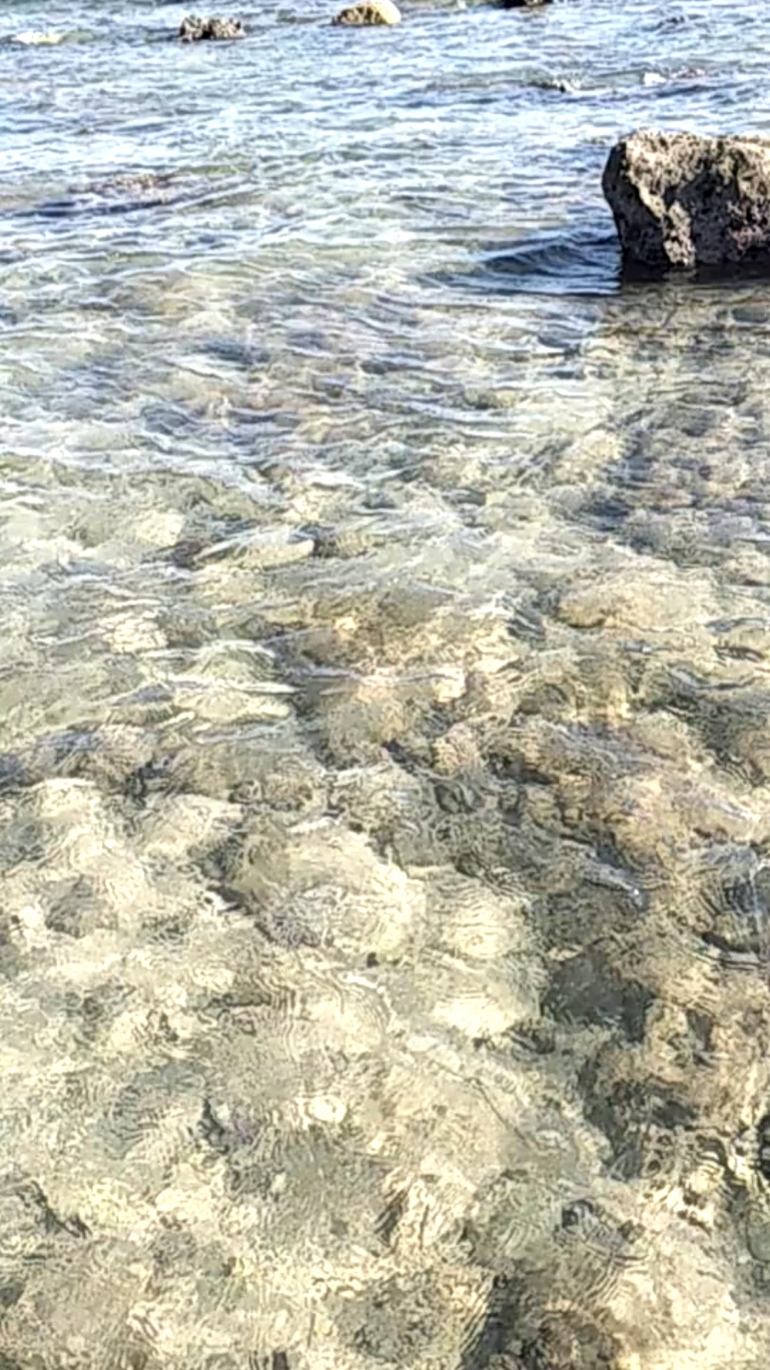 三亚大东海