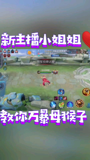 万爆母猴子