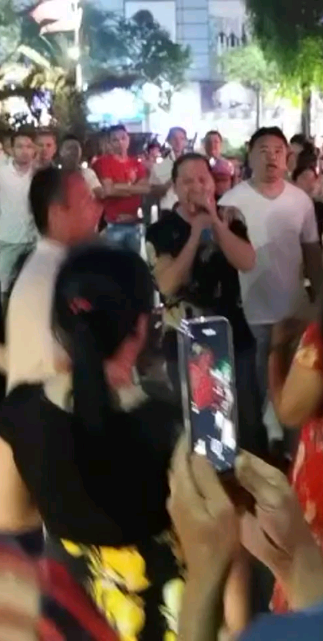 陈晓晓