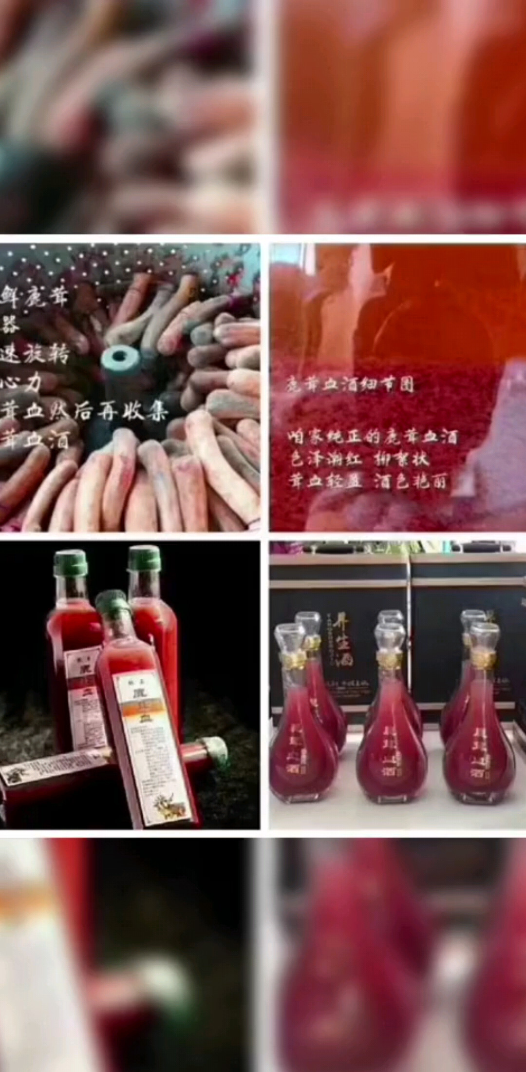 鹿茸血酒