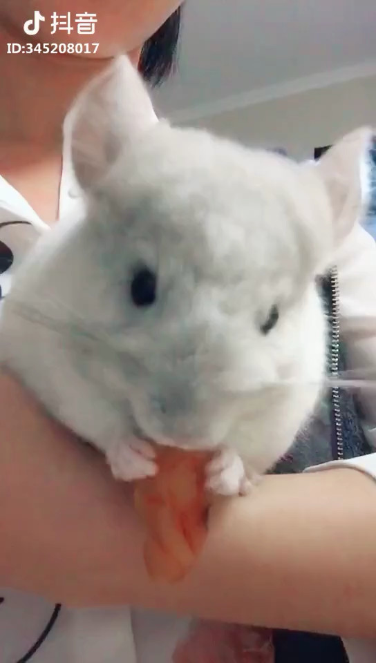 嘿嘿