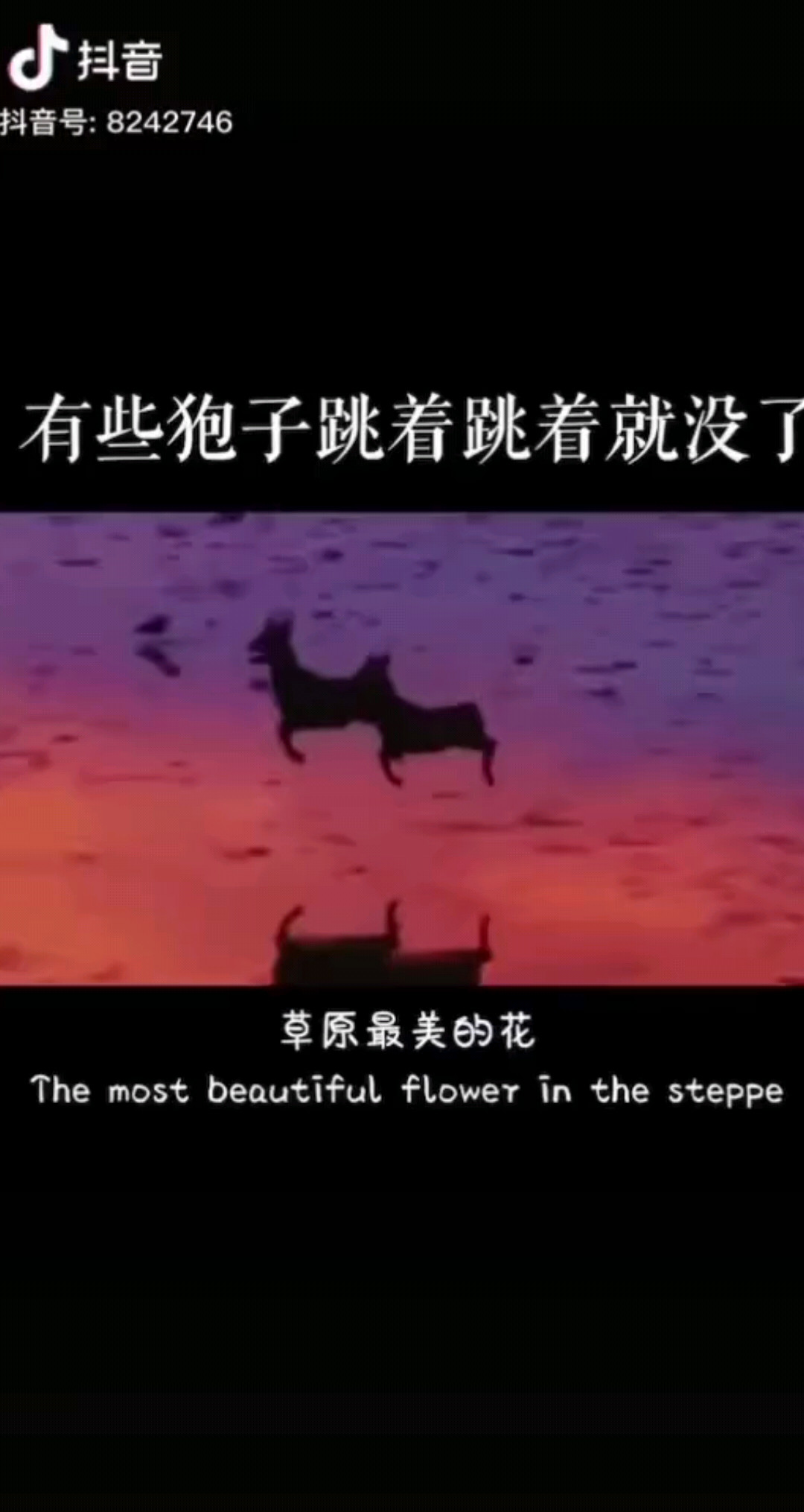 有些狍子跳着跳着就没了