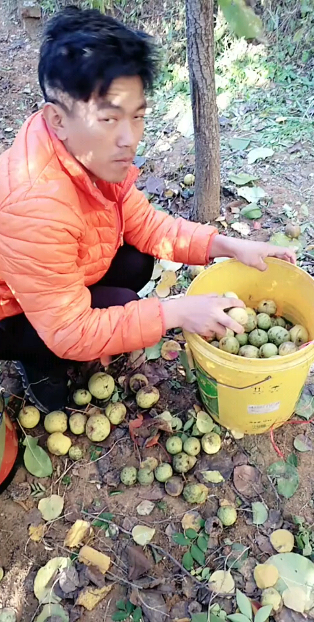 为了公女儿上学长大希望双击关注