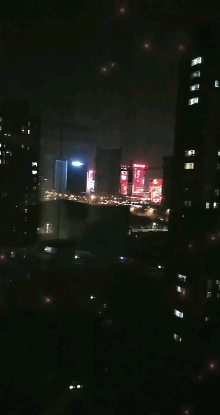 情总是让疼