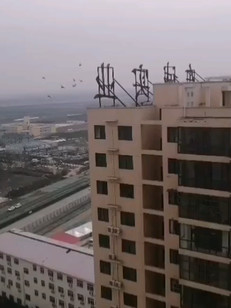 看他们自由自在我一个月都木出去