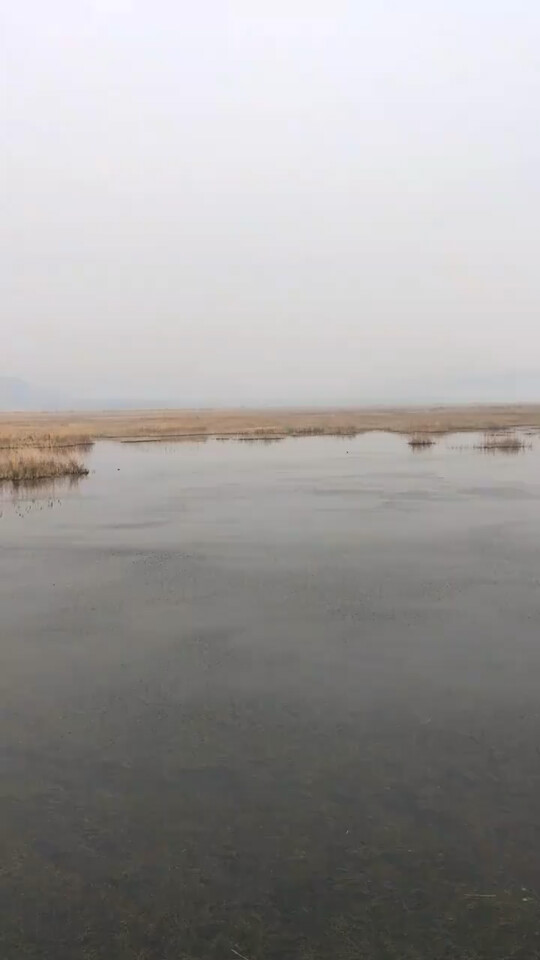 东平湖湿地