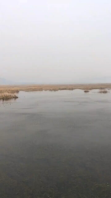 东平湖湿地