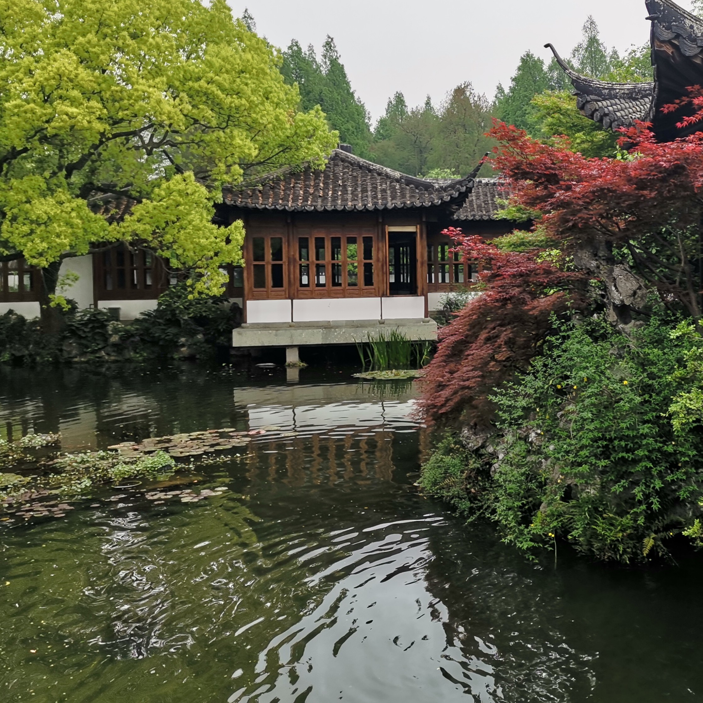 休闲草海报