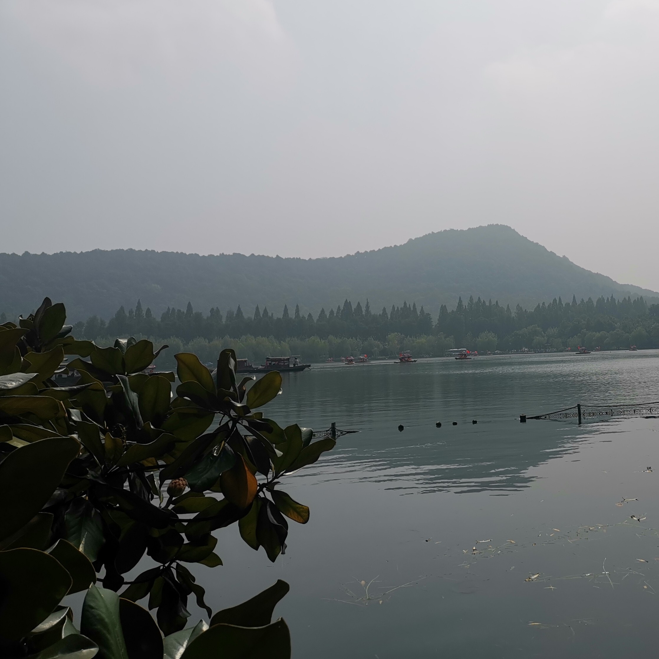 此账号已注销海报