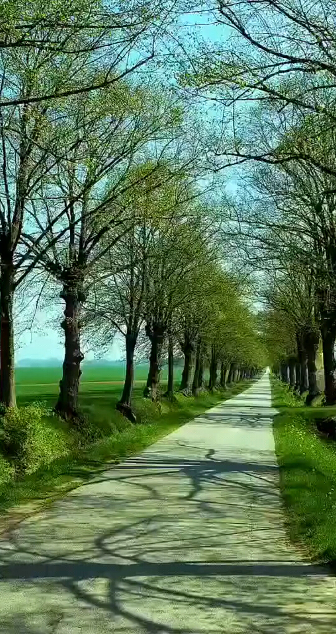 走在乡间的小路上，忘掉一切烦恼