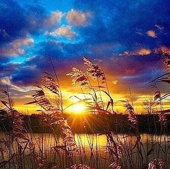 ❤那晚没忍住❤海报