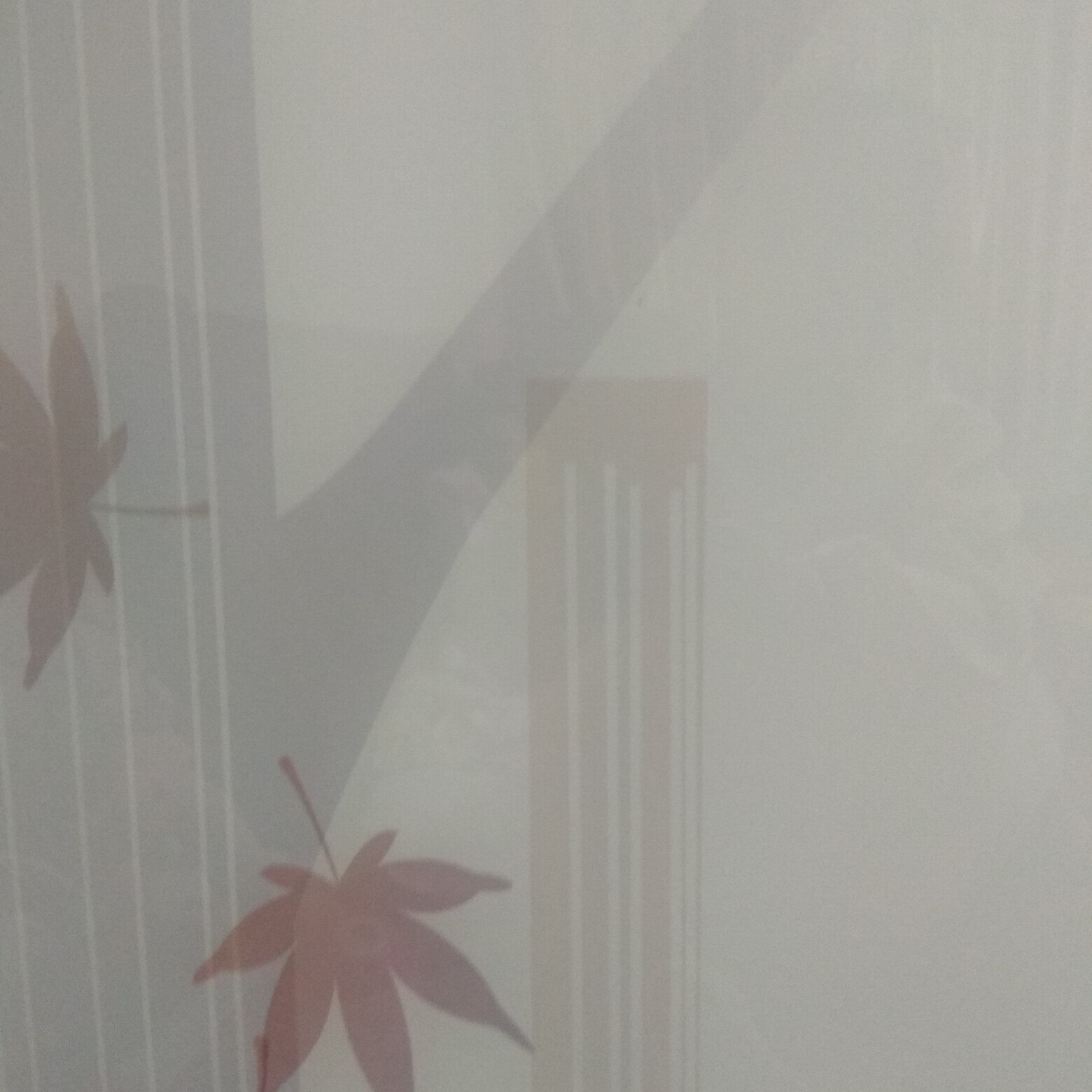 风雨溜溜海报