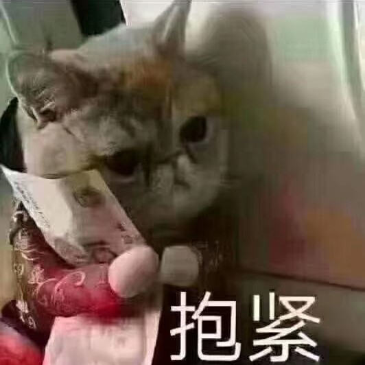 小夜猫小夜猫海报