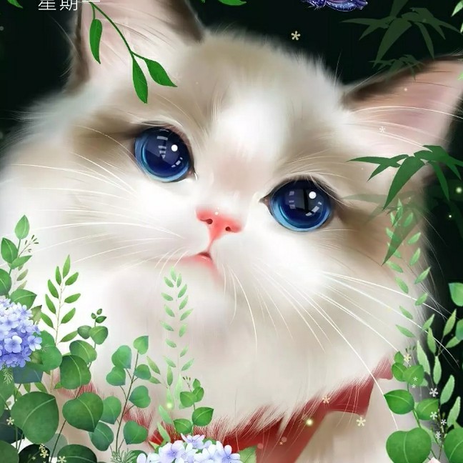 夜雨微澜y海报