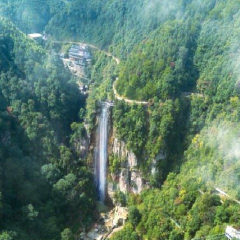 xj阿威海报