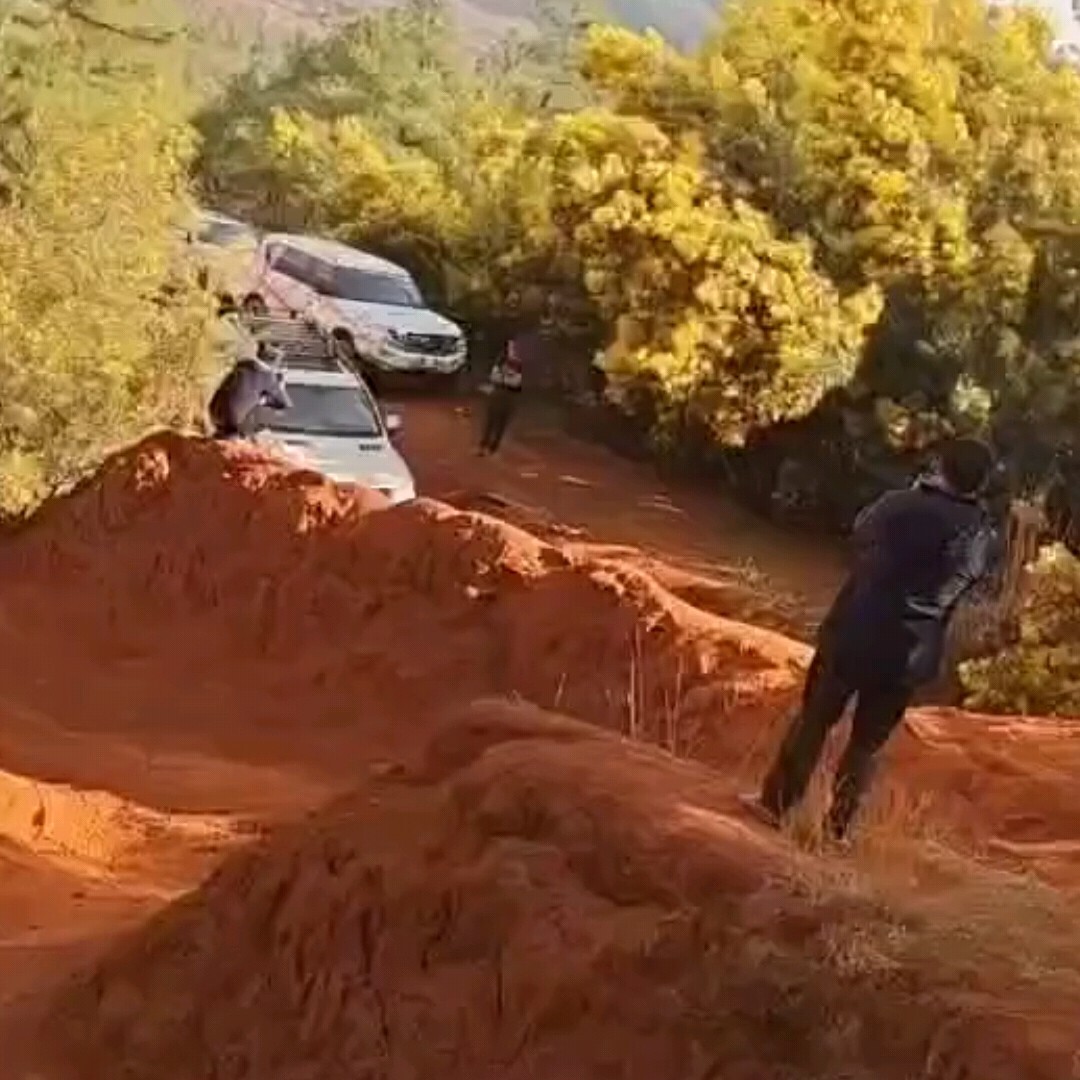 🌹天天🌹海报