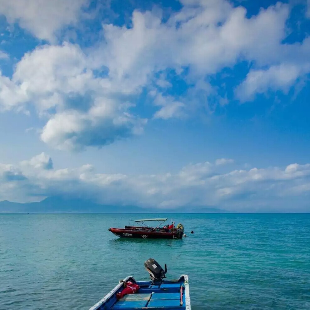 纳什么艾尼海报