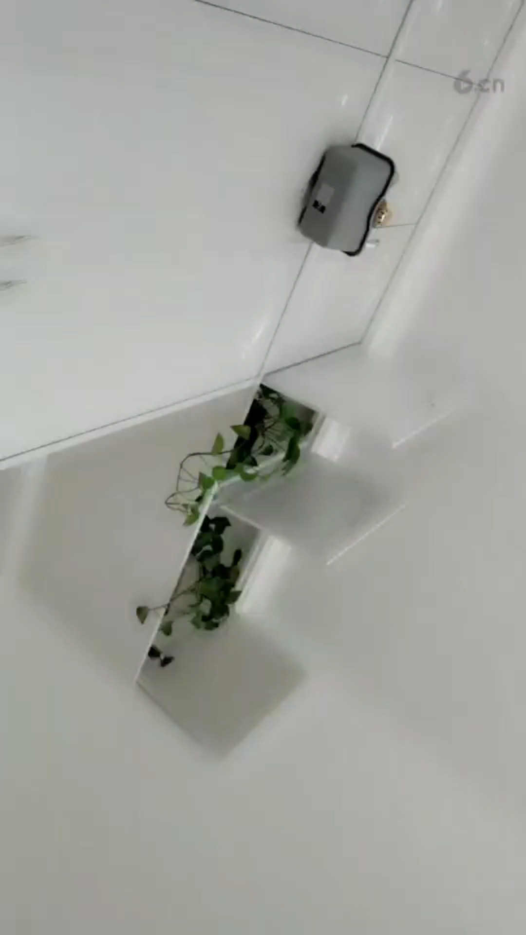 早上好