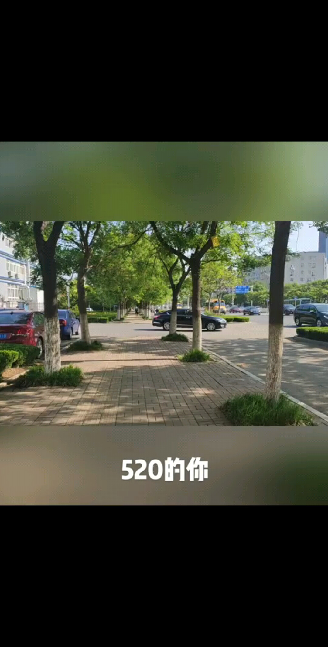 502的你是520