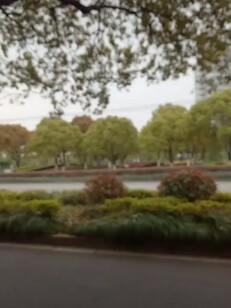 上海市奉贤区新四平路