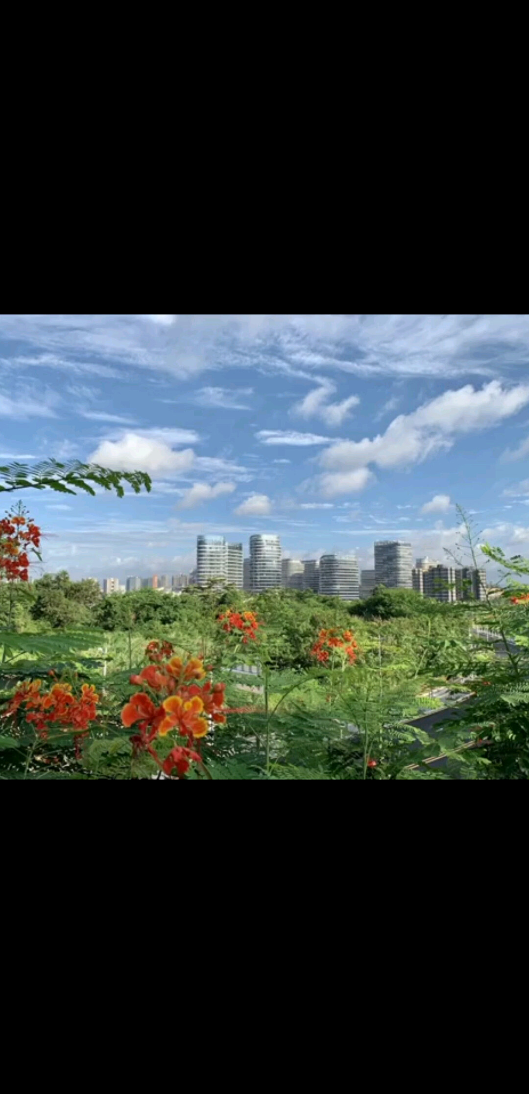 接受失败，但不接受放弃-卓锋固