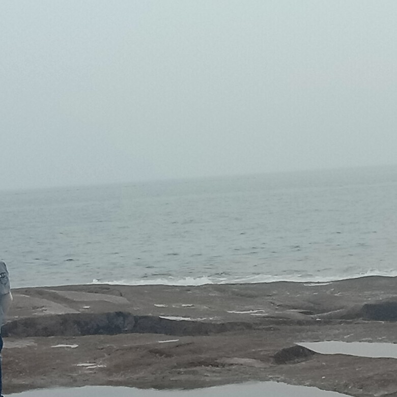 等到秋叶被红透海报