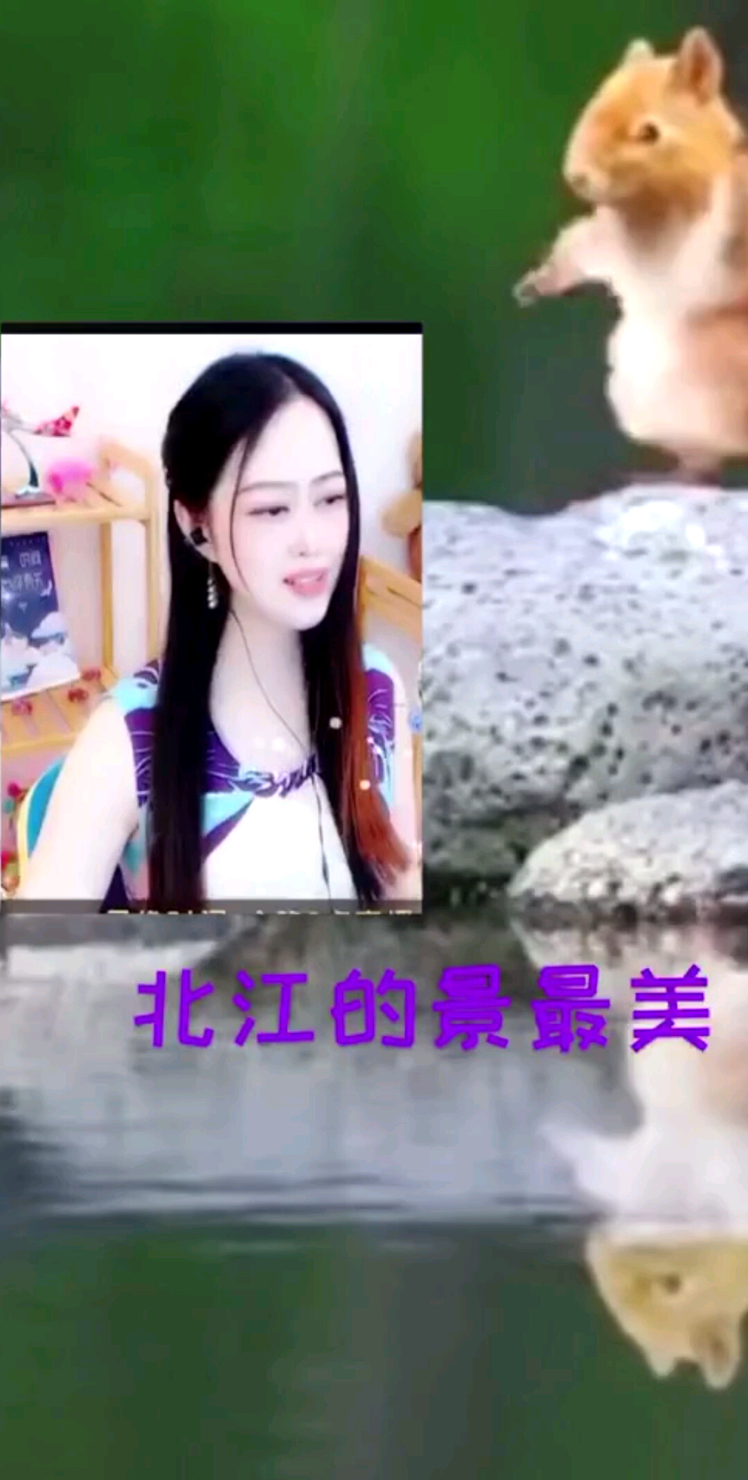 北江美