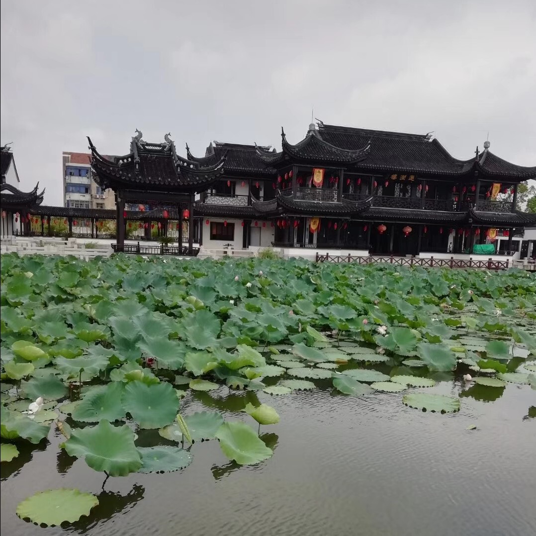🎋与影相伴海报