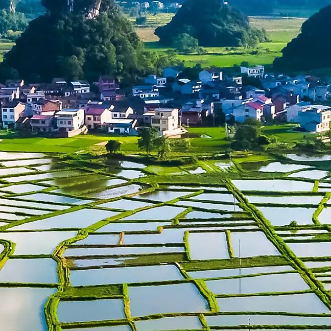 真心友好海报