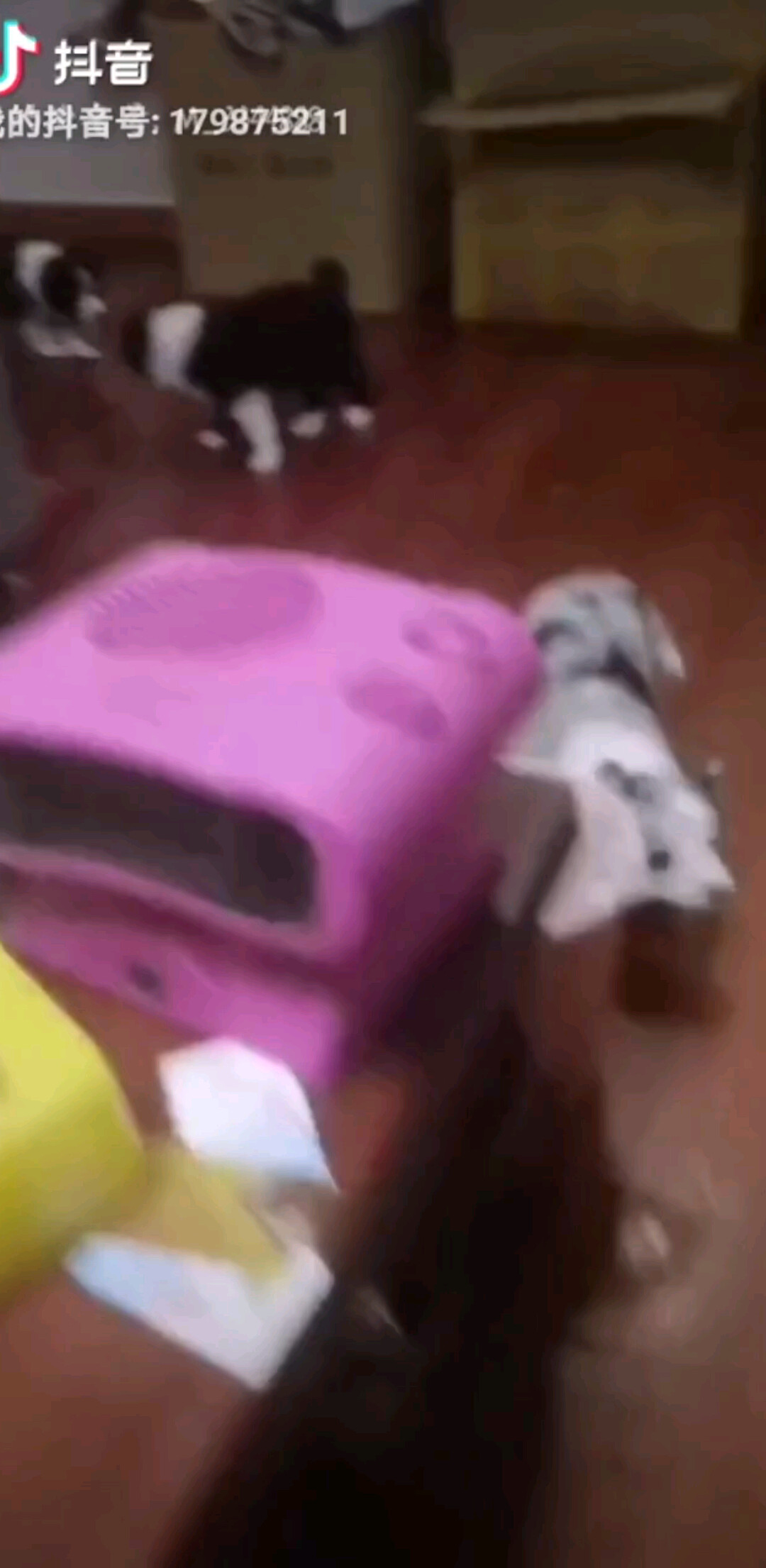 这辈子多多关照