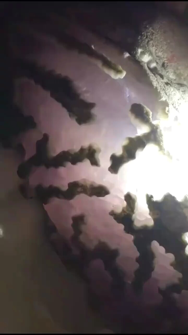 后江冰春