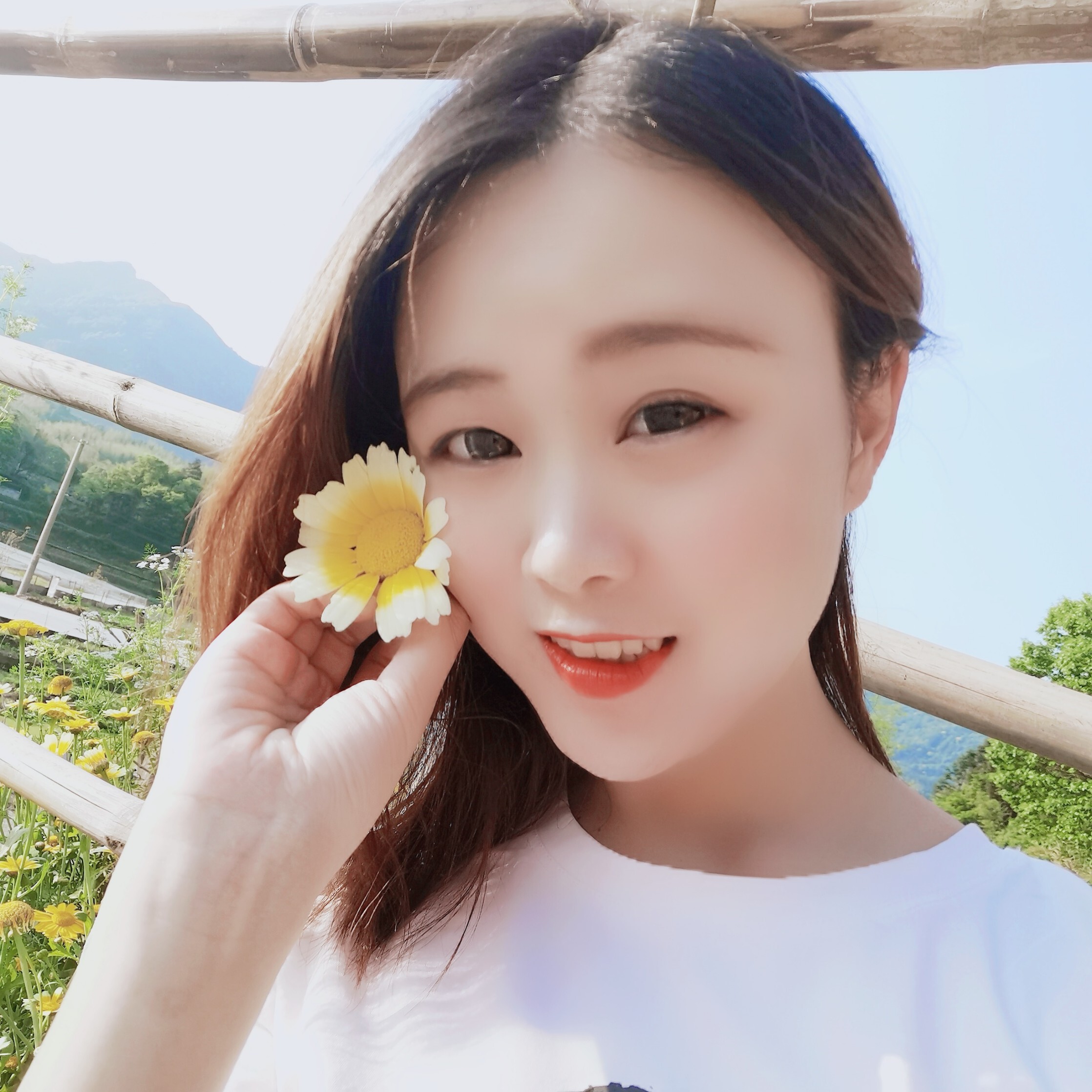 🍁信子海报