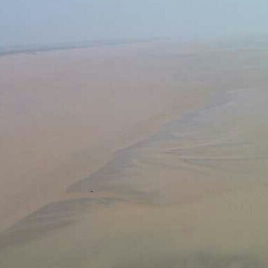 顺子FL海报