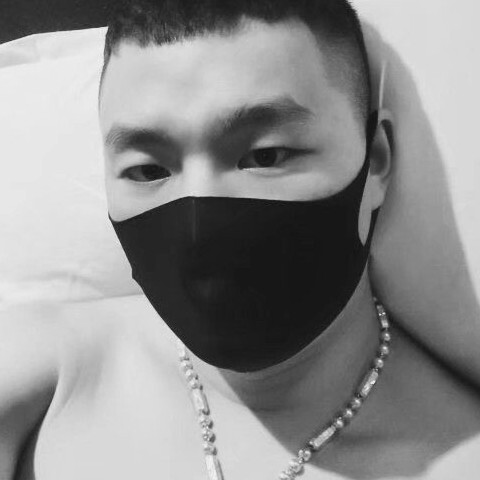 自由如风9mo海报