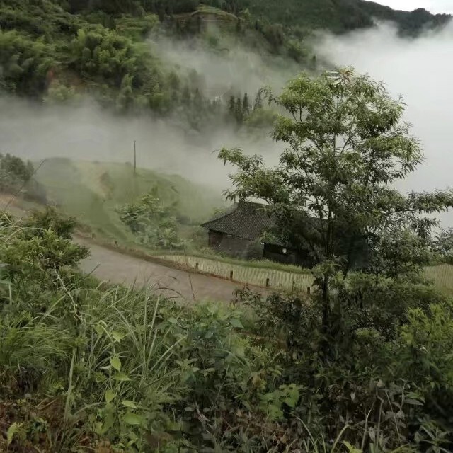 ぺ✿狂魔人海报