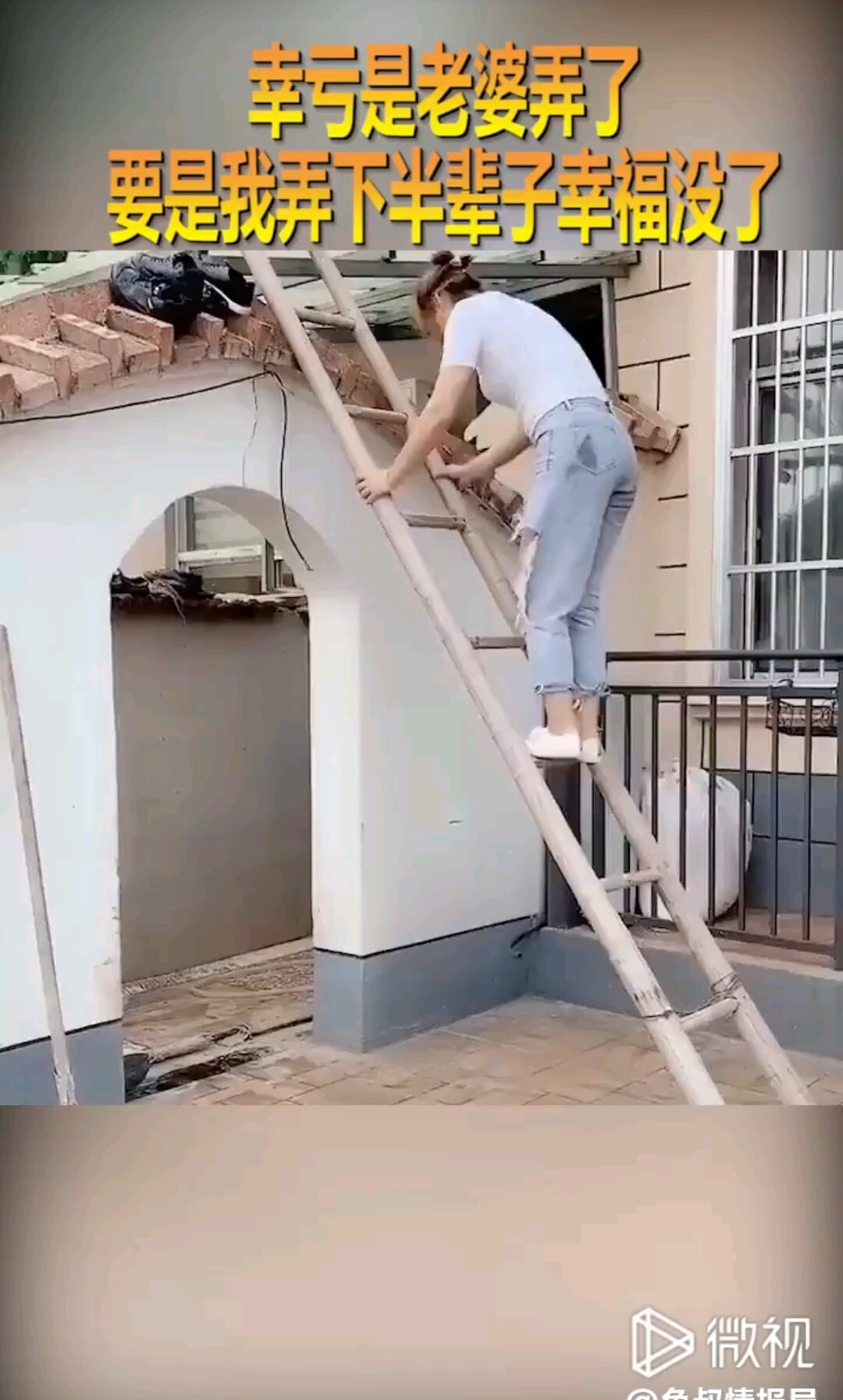 动态分享小视频