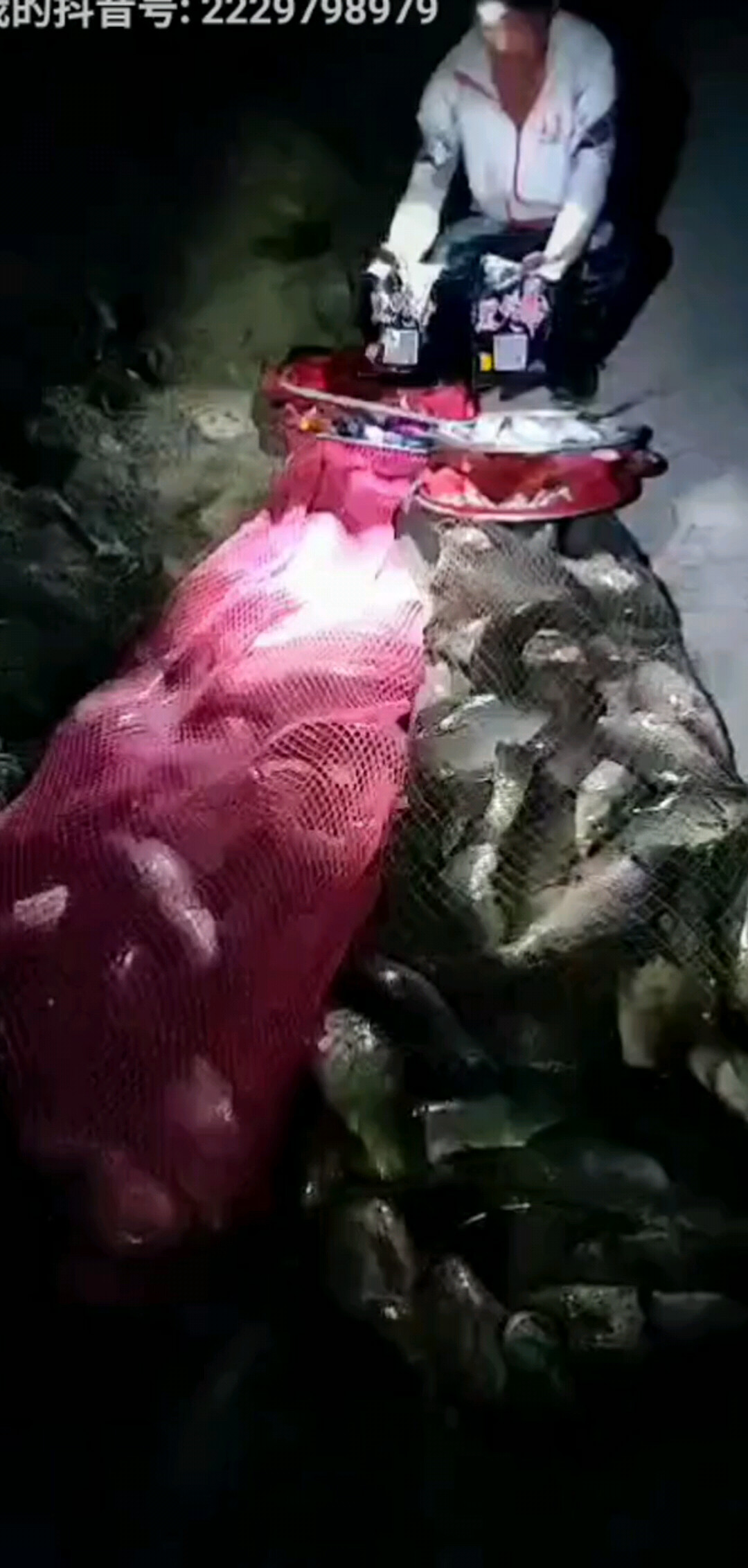 垂钓的快乐了