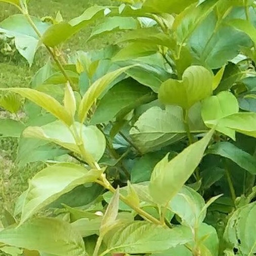 起个走心的名字海报