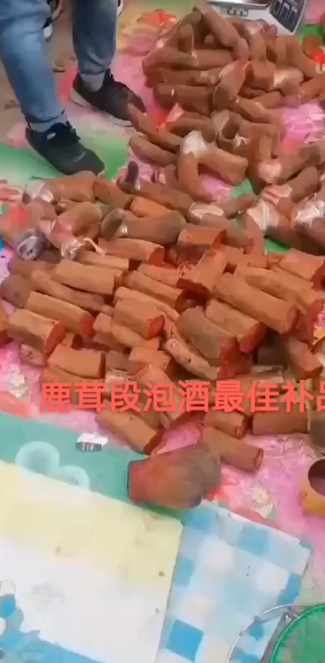 鹿茸泡酒